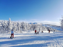 68d3f15fe60e437688e378b8d064eef0.png 68d3f15fe60e437688e378b8d064eef0.png