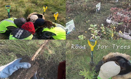 933e35bb767a4615bfdbd47dc5f41d4e.png 933e35bb767a4615bfdbd47dc5f41d4e.png