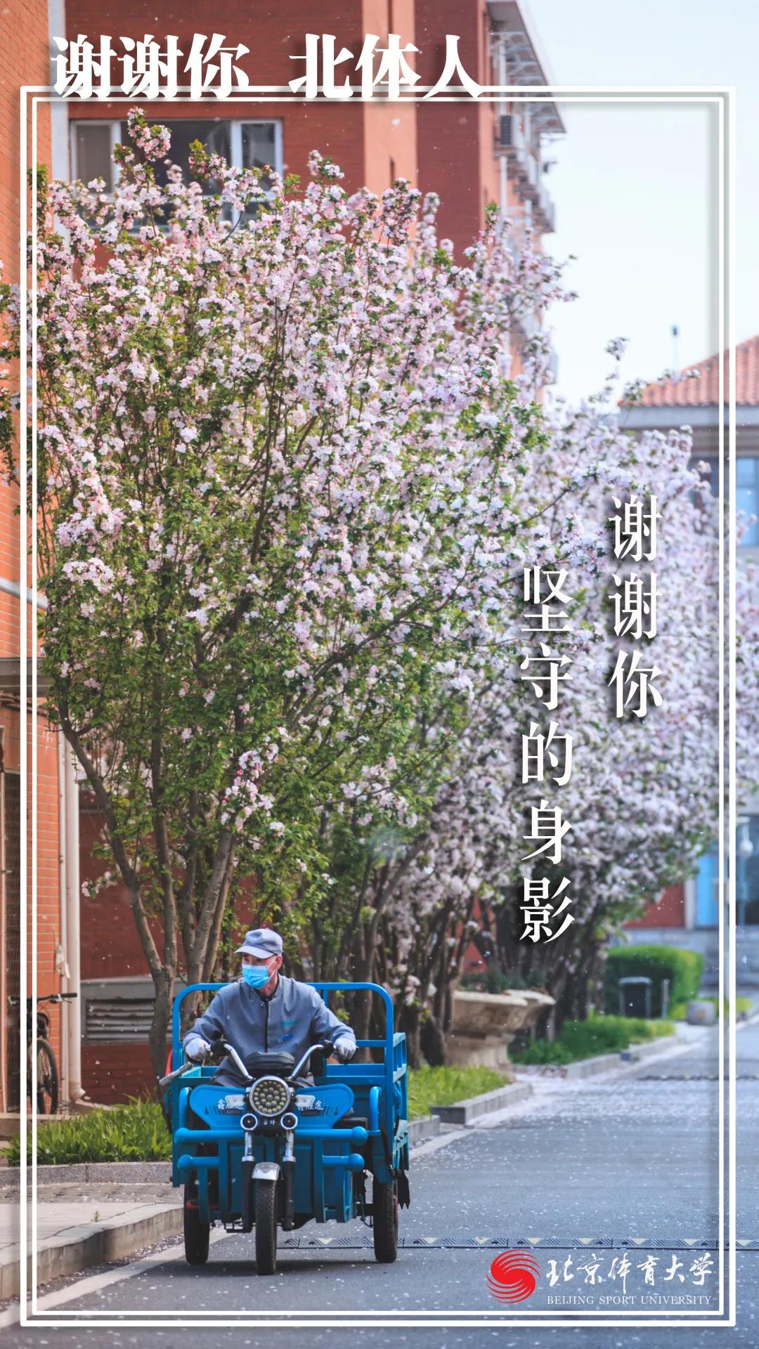 59086ff766744965abf866b0952d8906.jpg 59086ff766744965abf866b0952d8906.jpg