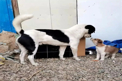 8f43ced2e6eb4721bec28e35857e5b98.jpg 6402.jpg