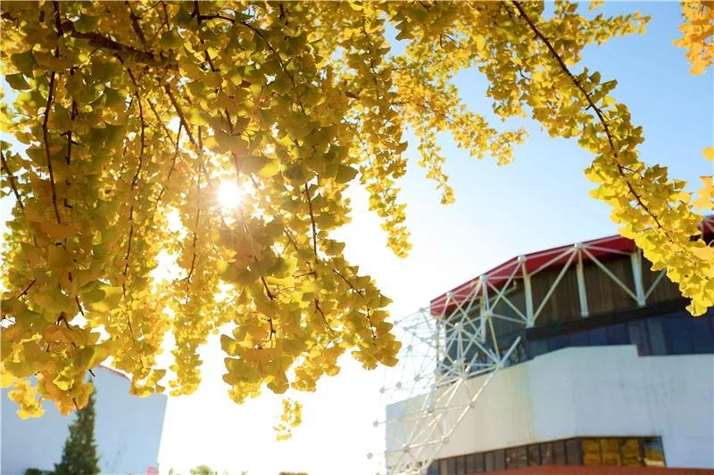 abf47fb45d83437f97727c1138a75176.jpg abf47fb45d83437f97727c1138a75176.jpg