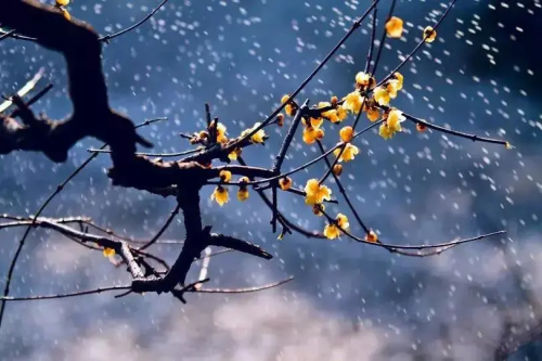 0a31634d98574e758e4b304e1a39a3f7.png WPS图片-修改尺寸19.png