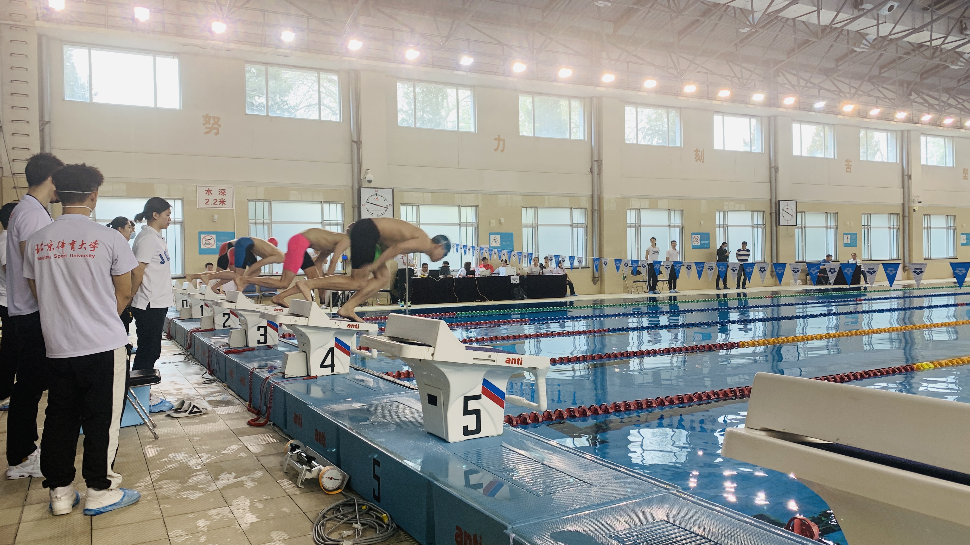 187207e881184ded92553b4a248d51e8.jpg 187207e881184ded92553b4a248d51e8.jpg