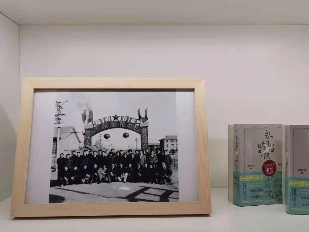 39de748505b6463f8d6f13d36035de57.jpeg 39de748505b6463f8d6f13d36035de57.jpeg