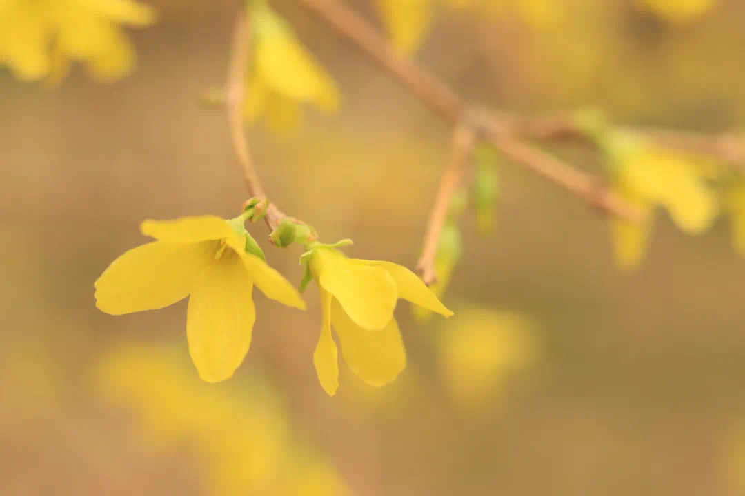 7d609631f1b34ad8ab955b32b3c0f955.jpeg 7d609631f1b34ad8ab955b32b3c0f955.jpeg