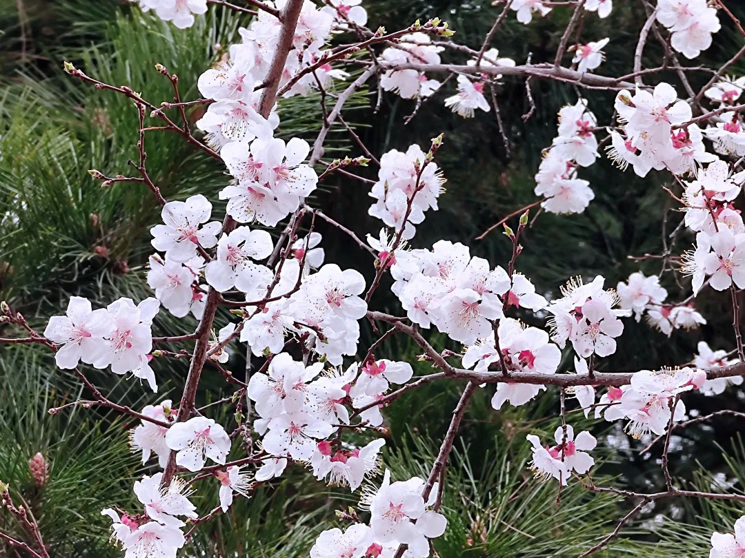 8e8628283e4b456dab490d6deeb3eb42.jpeg 8e8628283e4b456dab490d6deeb3eb42.jpeg