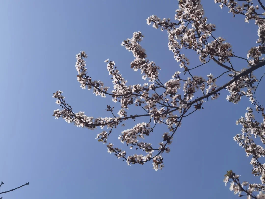 94ca7a489e9d4db985266192dadd2196.jpeg 94ca7a489e9d4db985266192dadd2196.jpeg