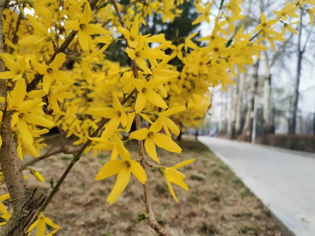 9d4ddb0a0b3549f989e87a5ac7ba9fed.jpeg 9d4ddb0a0b3549f989e87a5ac7ba9fed.jpeg