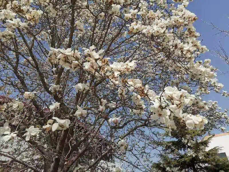 b059b716effd45fcbecc9c45d1e0cda0.jpeg b059b716effd45fcbecc9c45d1e0cda0.jpeg