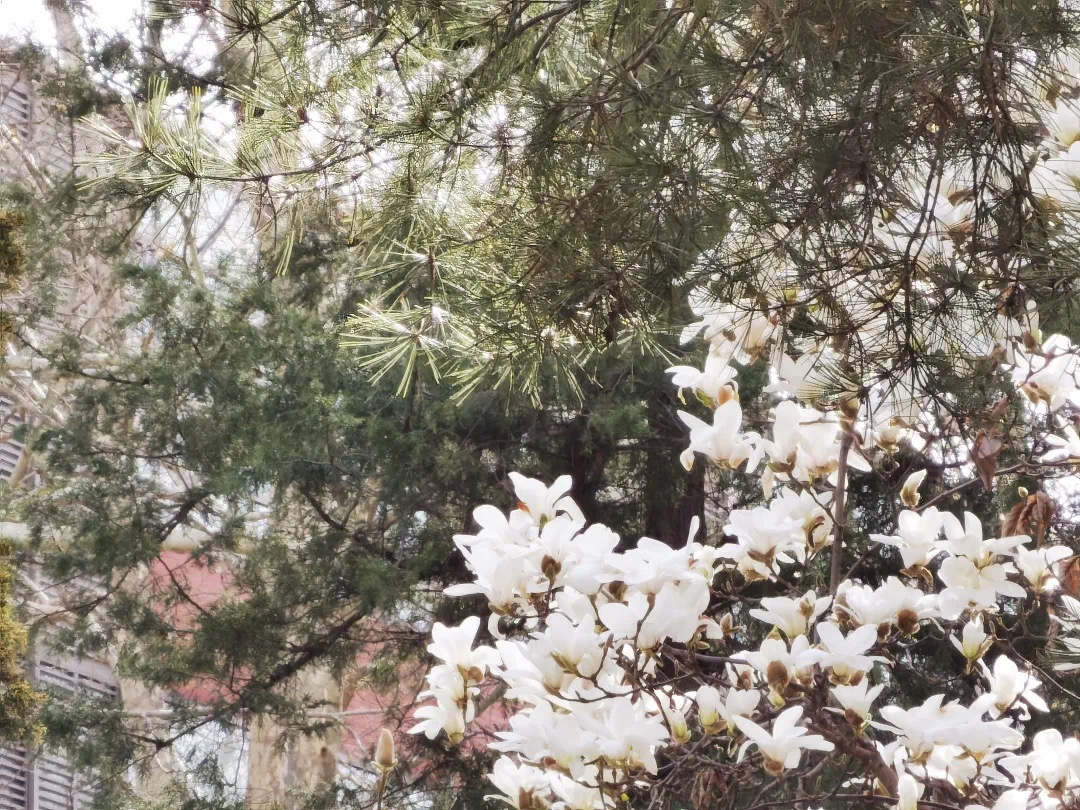 b081b2f58f474b059498306ce3f702d3.jpeg b081b2f58f474b059498306ce3f702d3.jpeg