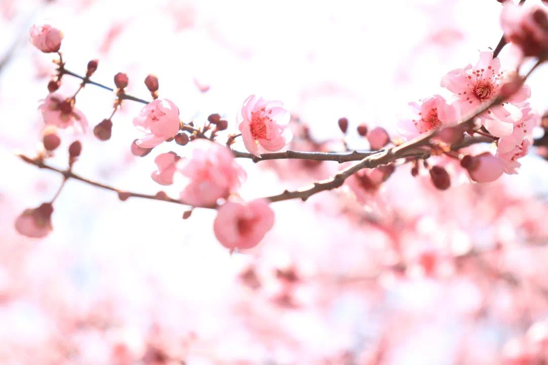 ceb8ec0a8e924b2d93e3b92777dc951d.jpeg ceb8ec0a8e924b2d93e3b92777dc951d.jpeg