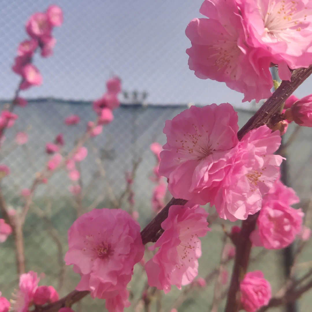 d9211e53821848b4b80ade6957ee10aa.jpeg d9211e53821848b4b80ade6957ee10aa.jpeg