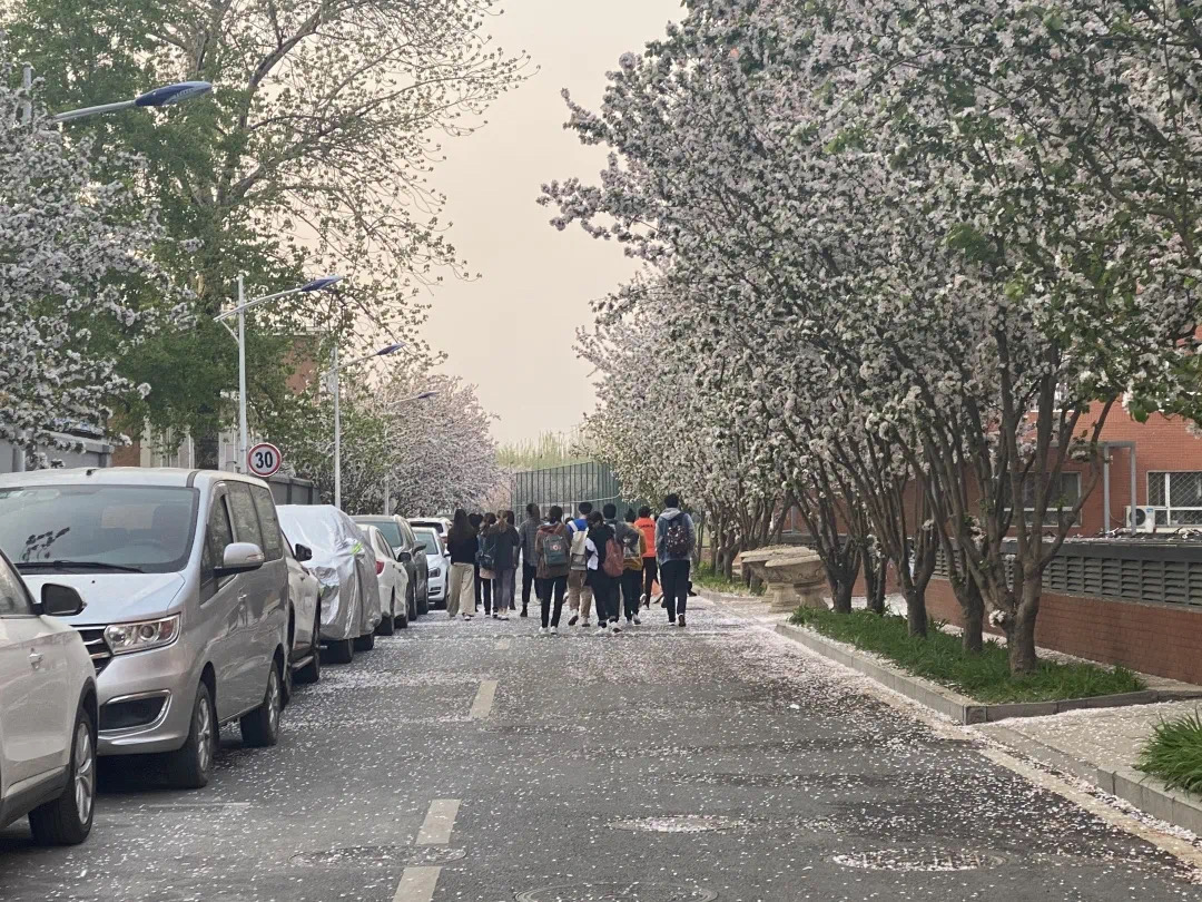 edf70c27a3724ad09f74277880878bb3.jpeg edf70c27a3724ad09f74277880878bb3.jpeg