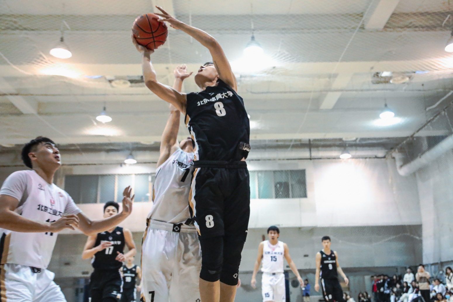 1b6a1a219d2f4523ac23379199ec3fcb.png 1b6a1a219d2f4523ac23379199ec3fcb.png