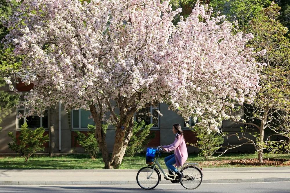 e88f01090e9e48ff92df697ab993ae75.jpg e88f01090e9e48ff92df697ab993ae75.jpg