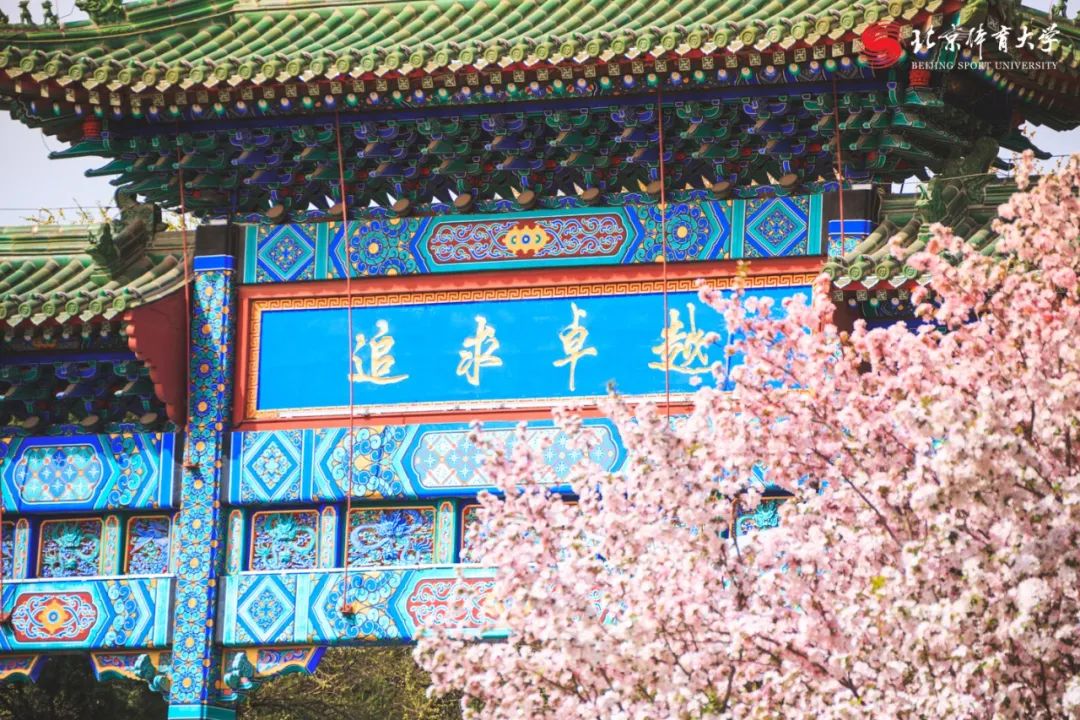 29500ae9f88a44e8a3bde218afa6220b.jpg 29500ae9f88a44e8a3bde218afa6220b.jpg