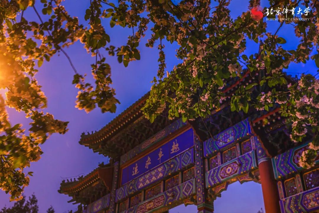 5024337626f2486e8b8c1b5810f2ec5b.jpg 5024337626f2486e8b8c1b5810f2ec5b.jpg