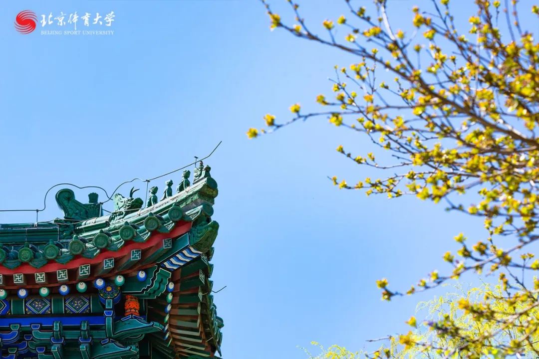 96d45c0074f542c9b8aacba8762f3b93.jpg 96d45c0074f542c9b8aacba8762f3b93.jpg