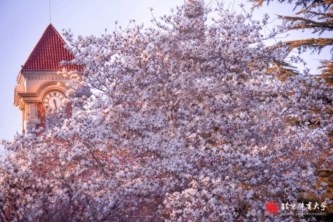 bd34ef0706ca459283a32f39122348d7.jpg bd34ef0706ca459283a32f39122348d7.jpg