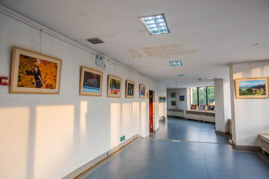 91af10f84aeb471e94659a5fb2558695.jpg 91af10f84aeb471e94659a5fb2558695.jpg