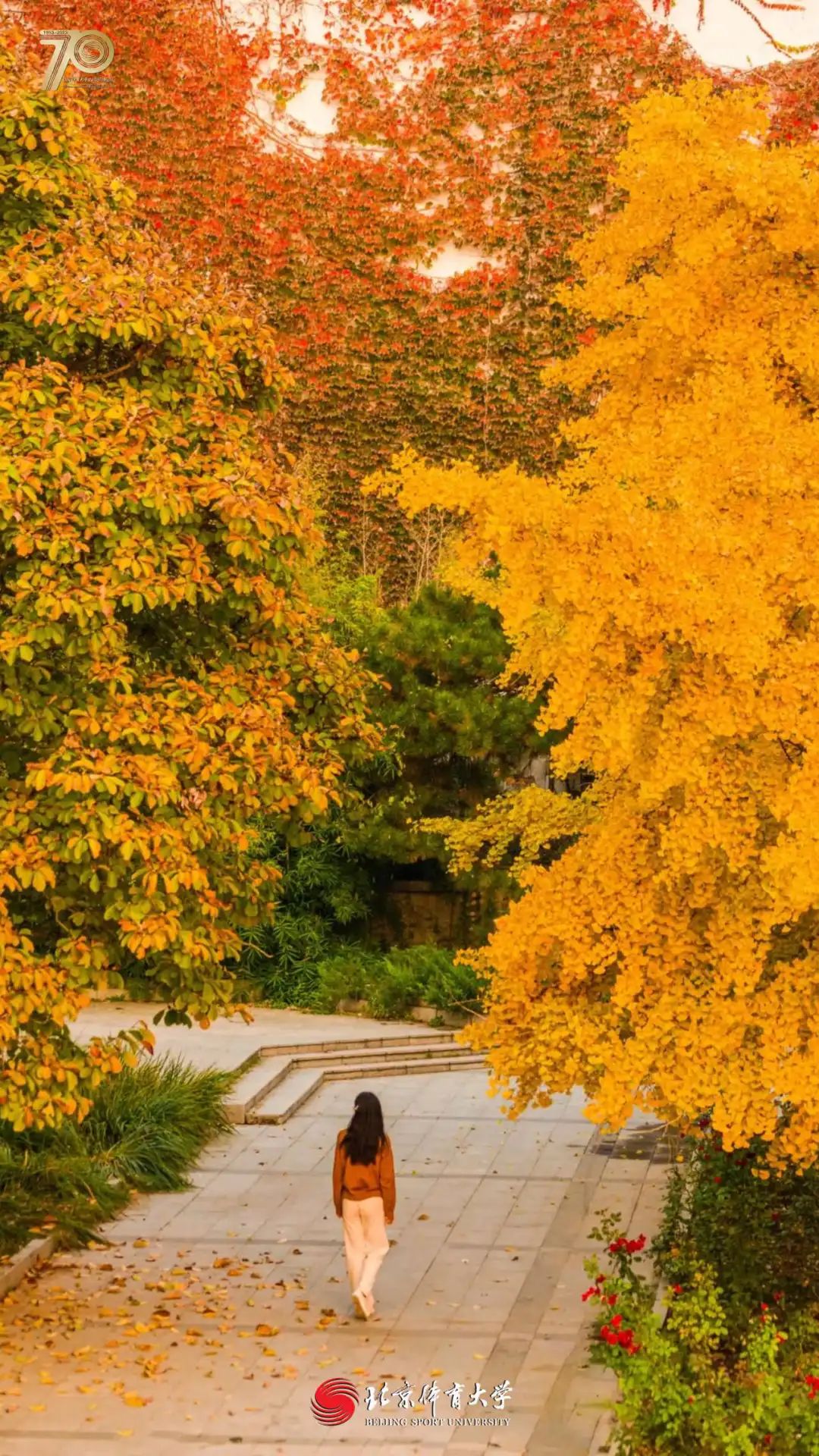 538c4fefd9144cf79006de32a038cfb5.jpg 538c4fefd9144cf79006de32a038cfb5.jpg