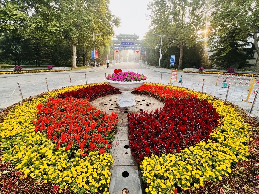 6b7a51ffeb42499ab7f8e0b537c4cfca.jpg 6b7a51ffeb42499ab7f8e0b537c4cfca.jpg