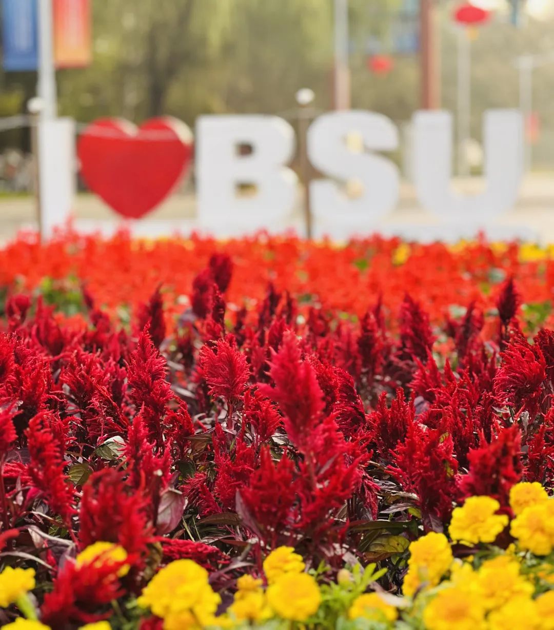 887162425efd4de1a8c2c81c841a2b29.jpg 887162425efd4de1a8c2c81c841a2b29.jpg