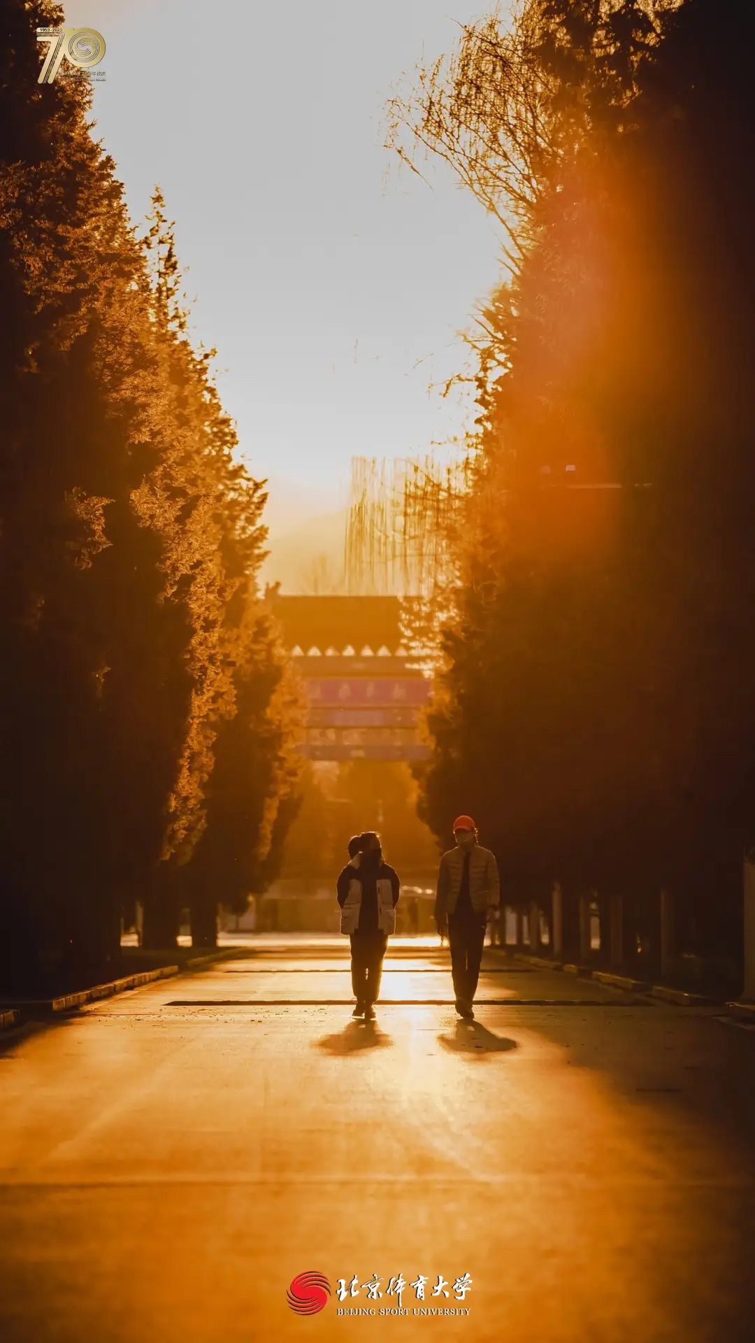 8eae0850dacb4cec8a43ee7ef5233a13.jpg 8eae0850dacb4cec8a43ee7ef5233a13.jpg