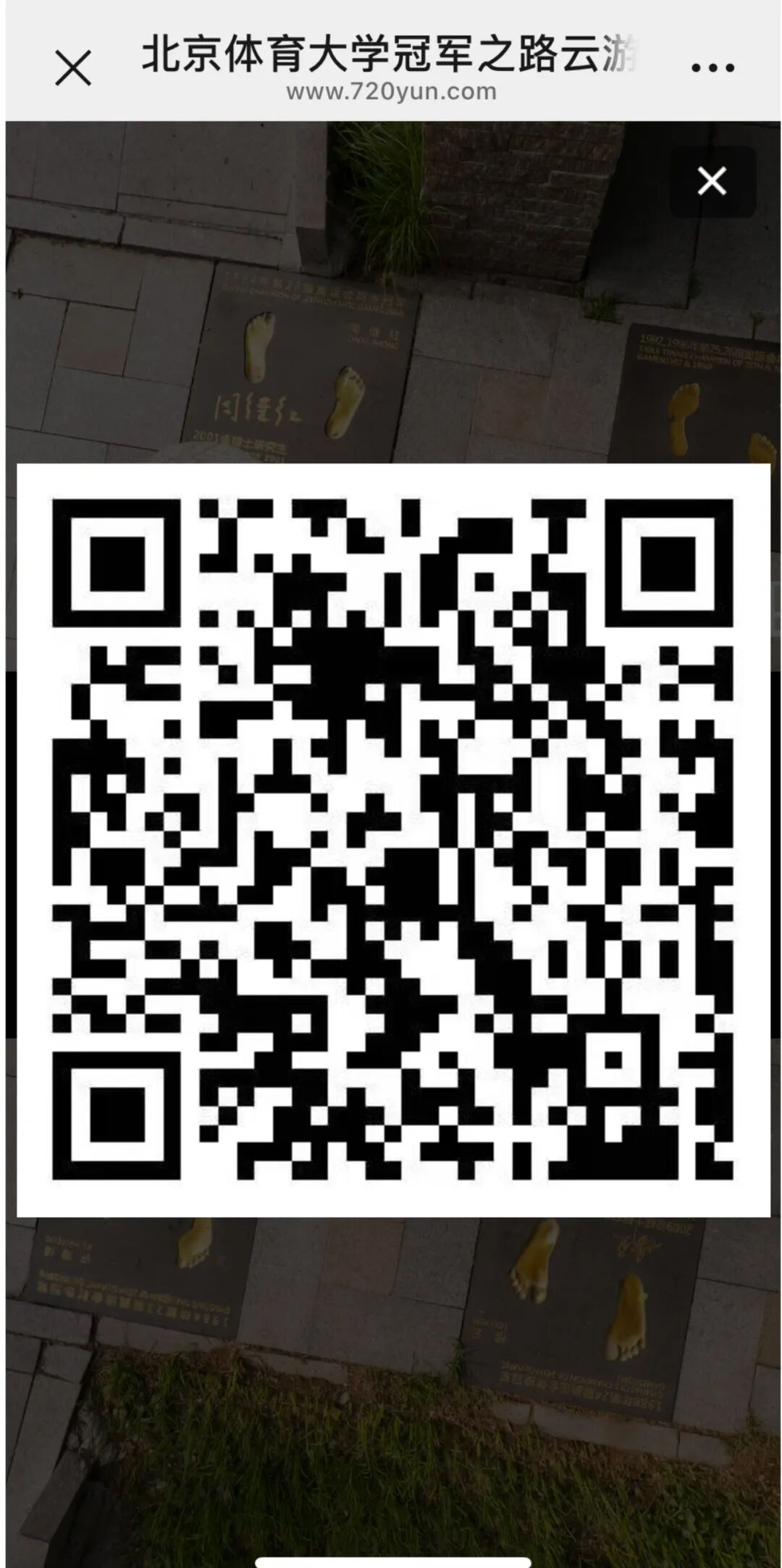 cd12efdc1c5d4f24845c103b9ee2acd3.jpeg cd12efdc1c5d4f24845c103b9ee2acd3.jpeg